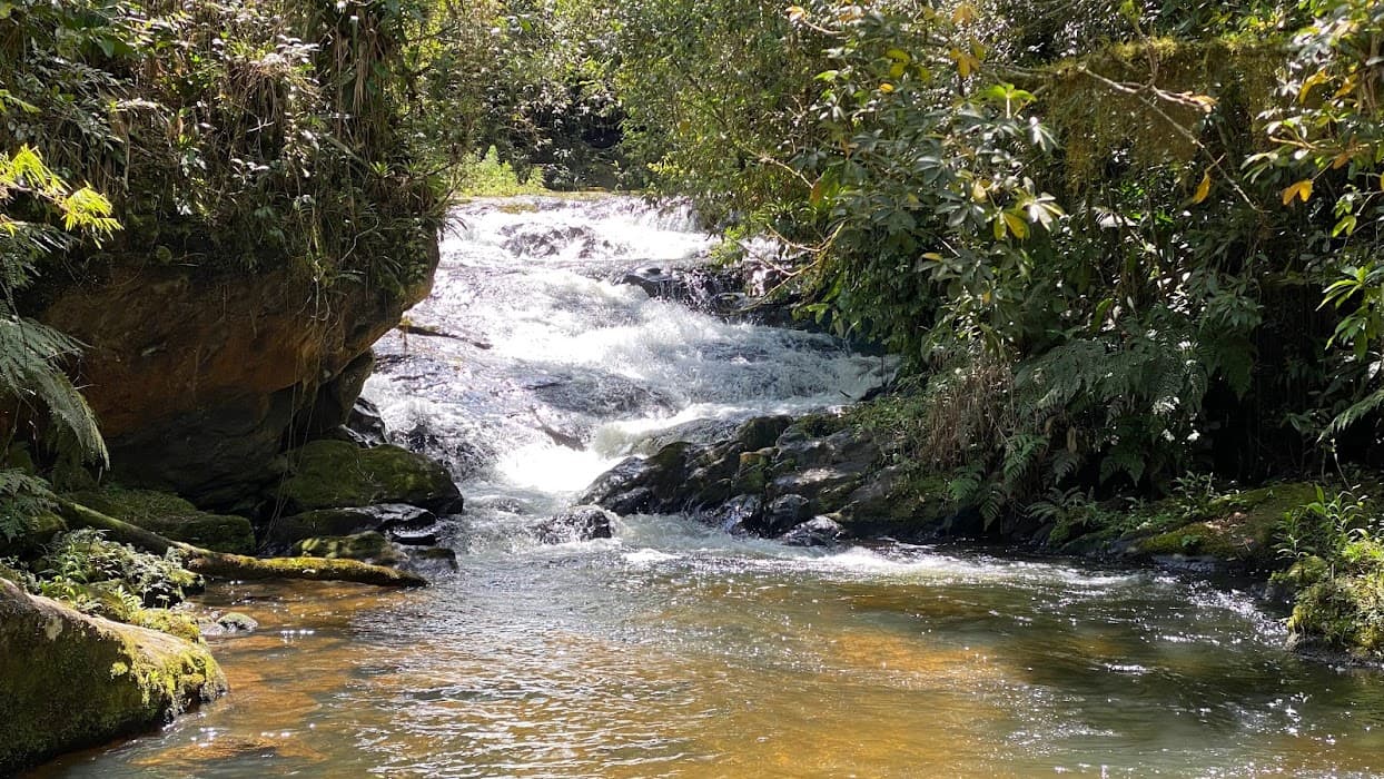 Descubra o Parque Estadual do Jurupará e explore suas cachoeiras e trilhas deslumbrantes