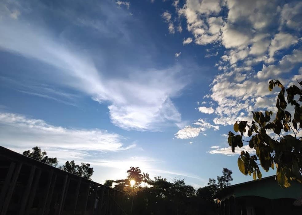 Descubra a beleza do Parque Estadual Chandless e explore suas trilhas e biodiversidade única