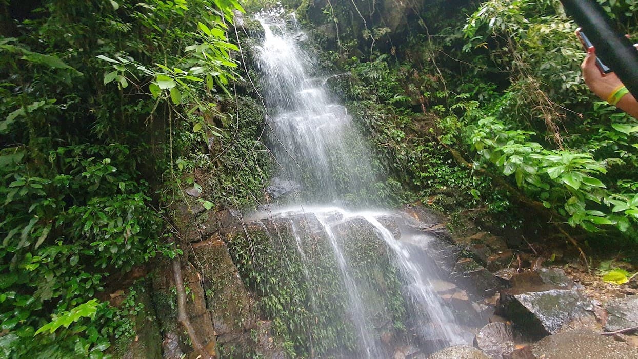 Explore a natureza exuberante e as trilhas do Parque Estadual de Ilhabela