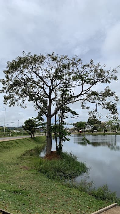 Lago da Prefeitura