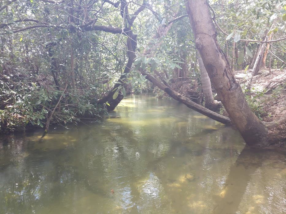 Fervedouro do Buritizinho