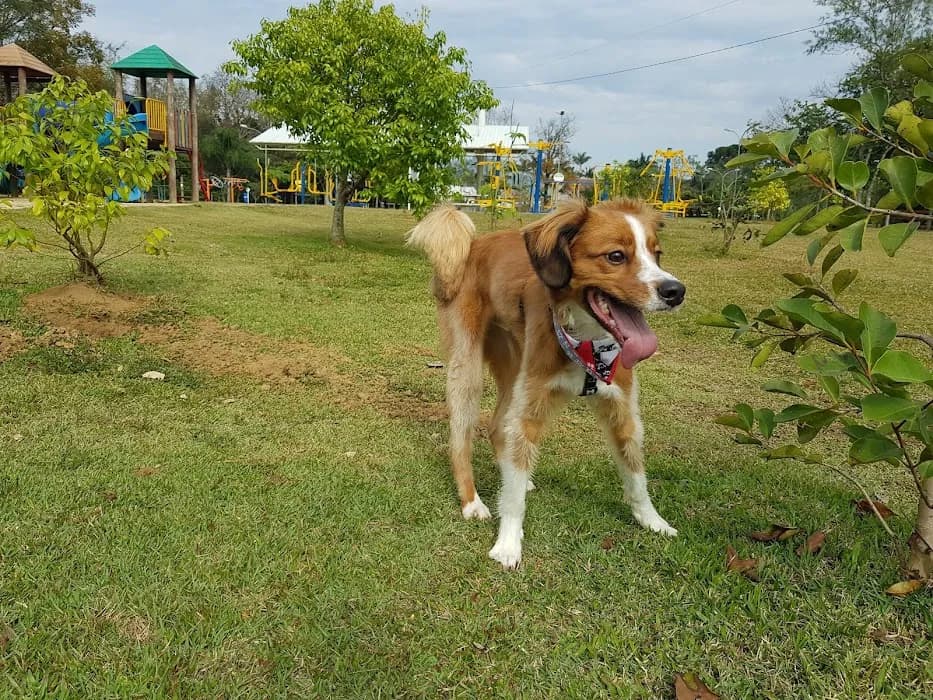 Reserva Particular do Patrimônio Natural Estadual Parque das Borboletas