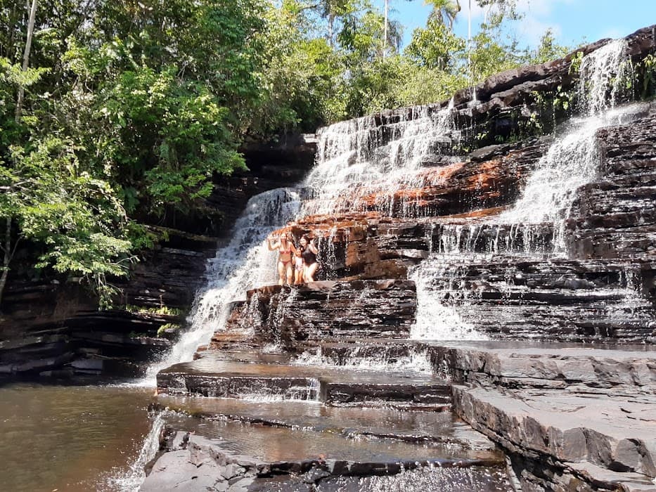 Floresta Estadual do Trombetas
