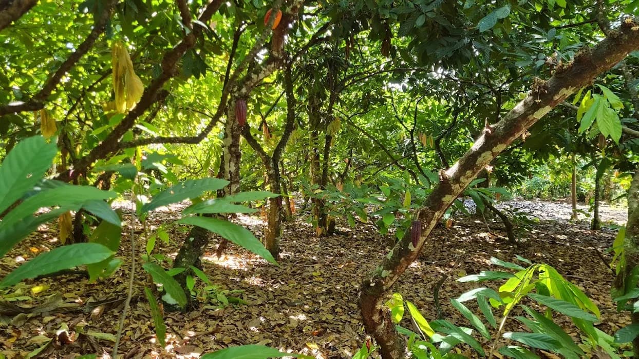 Parque Nacional de Boa Nova