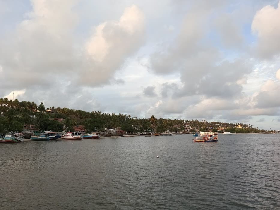 Área de Proteção Ambiental Piquiri-Una