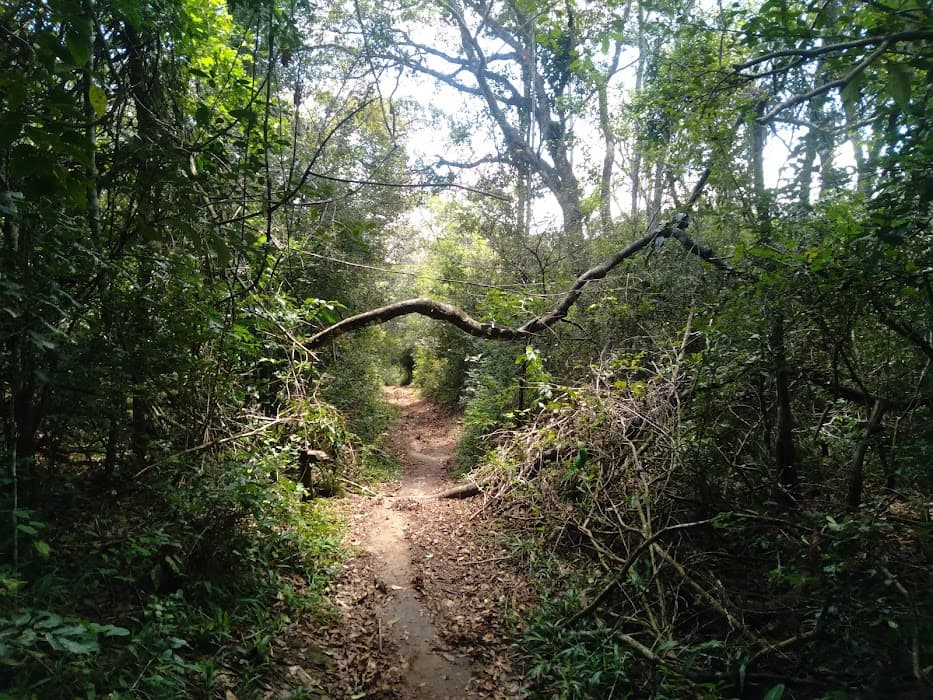 Parque Estadual Mata do Pau Ferro