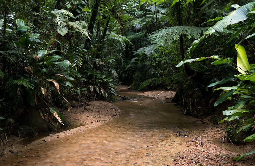 Reserva Particular do Patrimônio Natural Parque do Zizo