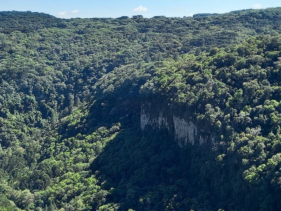 Floresta Nacional de Canela