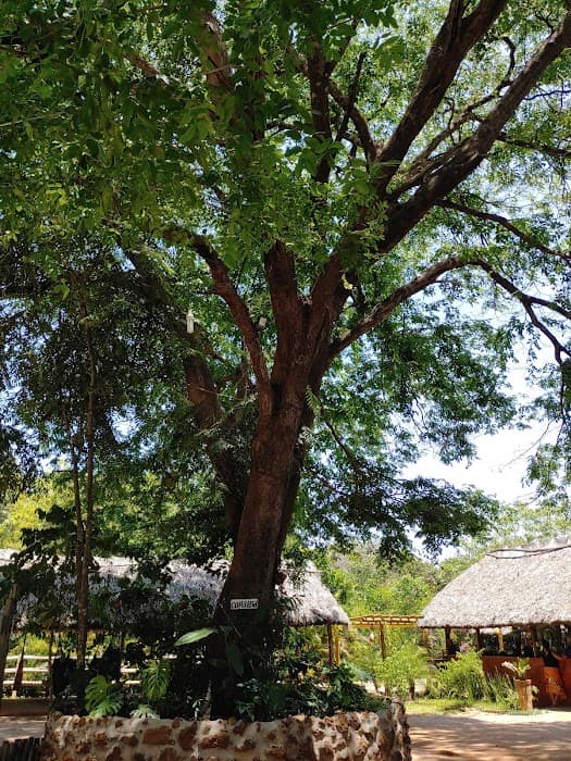 Fervedouro Bela Vista