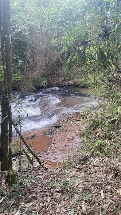 Descubra a beleza do Parque Estadual do Rio Guarani e aproveite trilhas e passeios de barco