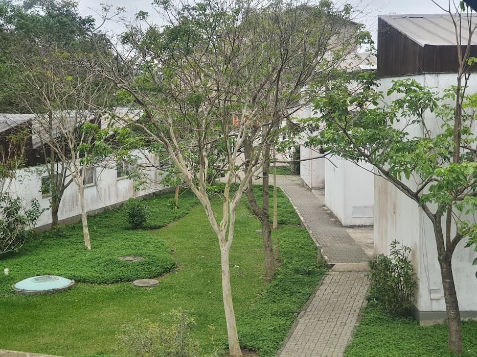 Descubra a natureza exuberante do Parque Estadual Cunhambebe e suas trilhas e cachoeiras