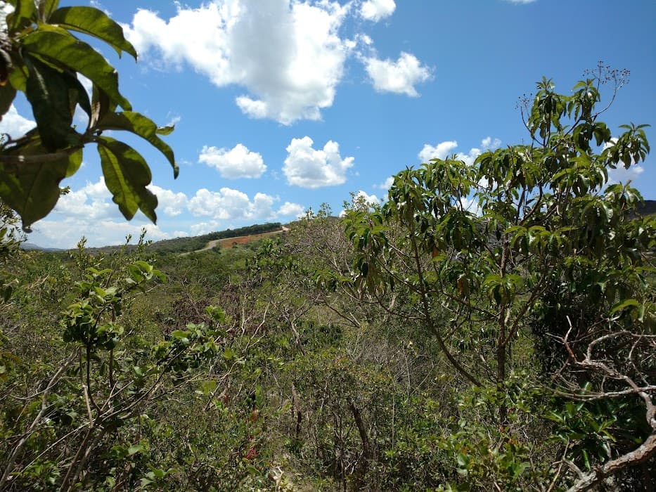 Cachoeira do Carijó