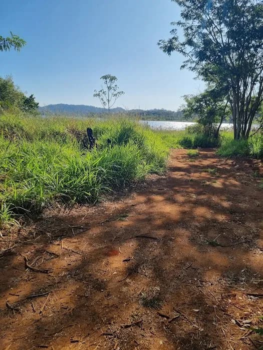 Parque Estadual Altamiro de Moura Pacheco
