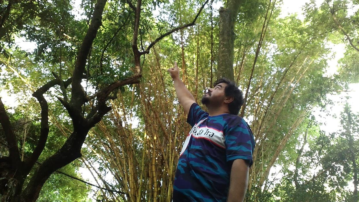 Parque Natural Municipal do Paragem