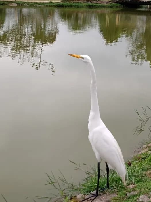 Parque das Águas - Resende-RJ