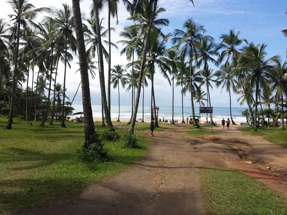 Descubra a beleza do Parque Estadual da Serra do Conduru e suas trilhas e cachoeiras encantadoras