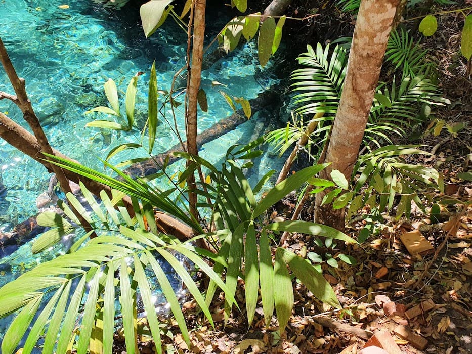 Cachoeira do Formiga