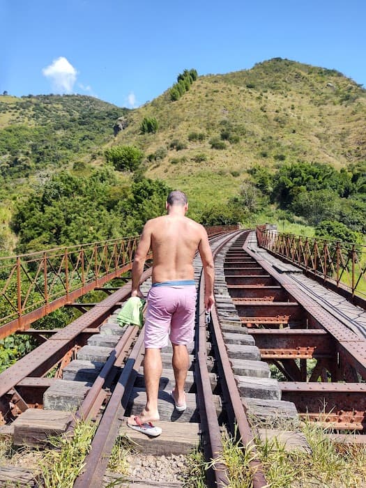 Ponte Eng. Paulo de Frontin