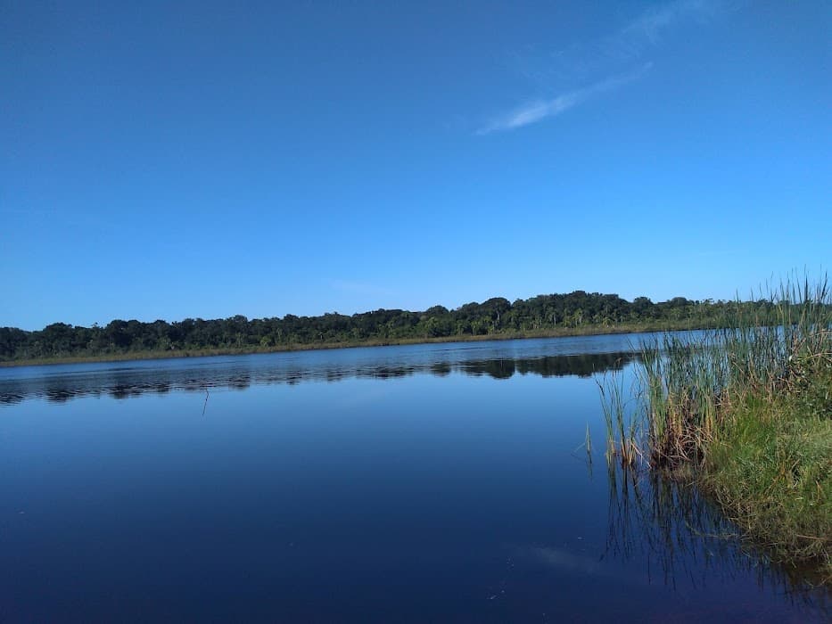 Descubra a natureza exuberante e as trilhas do Parque Estadual Acaraí em Santa Catarina