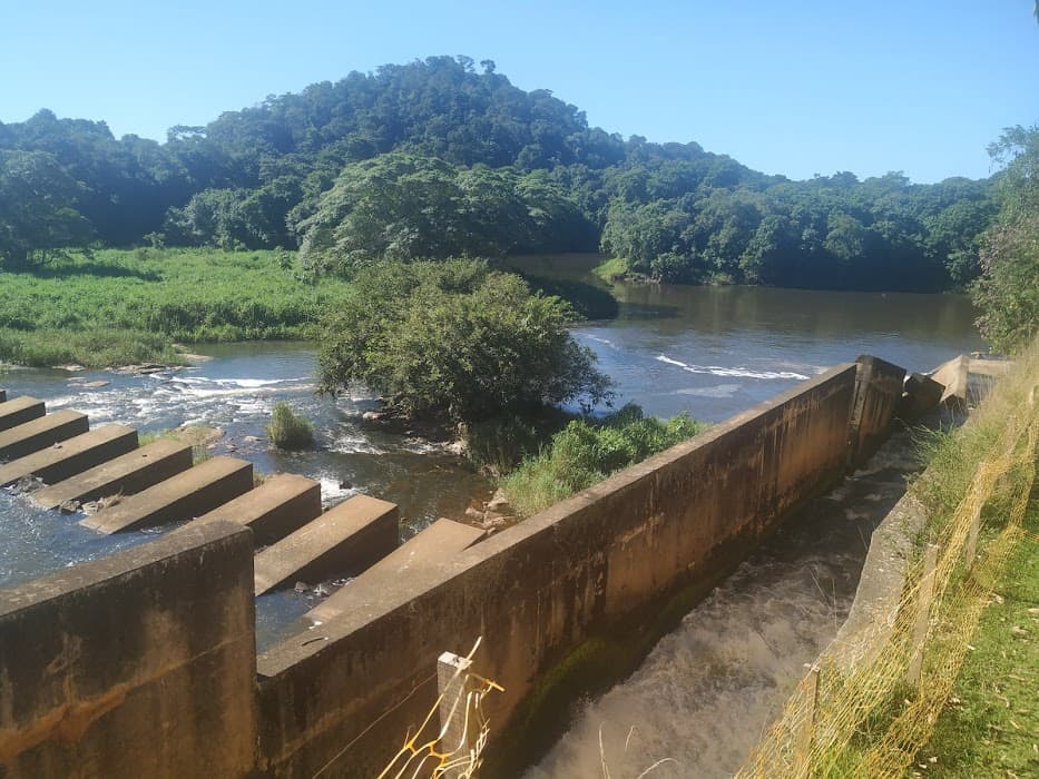 Explore a natureza e veja os golden lion tamarins de perto na Reserva Poço das Antas