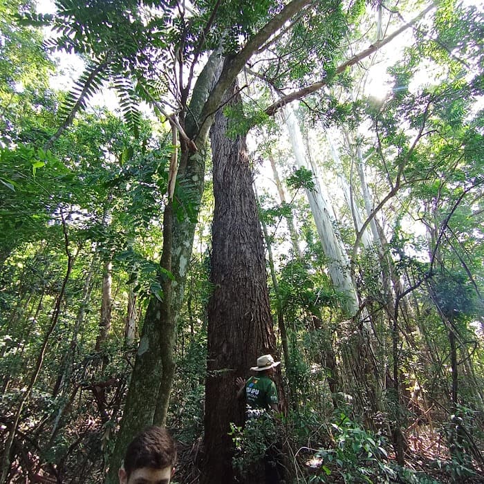 Horto Municipal José Anuário Pereira