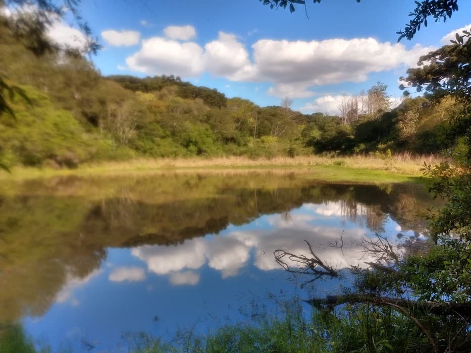 Floresta Nacional de Passo Fundo