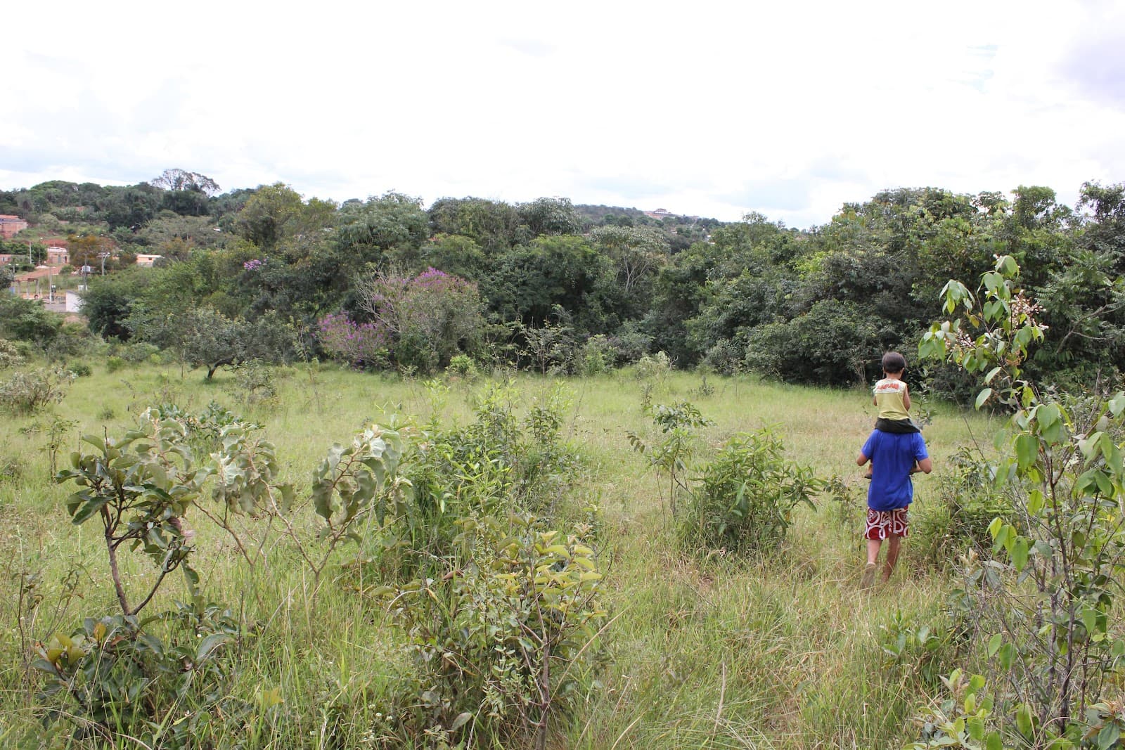 Conheça o Instituto de Desenvolvimento Ambiental Maria Moreira da Cruz e suas ações ambientais