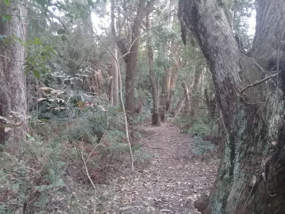 Área de Relevante Interesse Ecológico