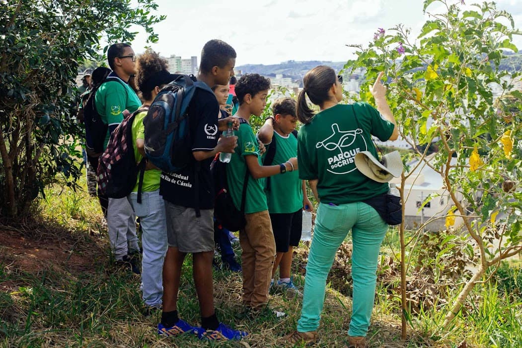 Descubra o Parque do Cristo e viva trilhas, observação de aves e contato com a natureza