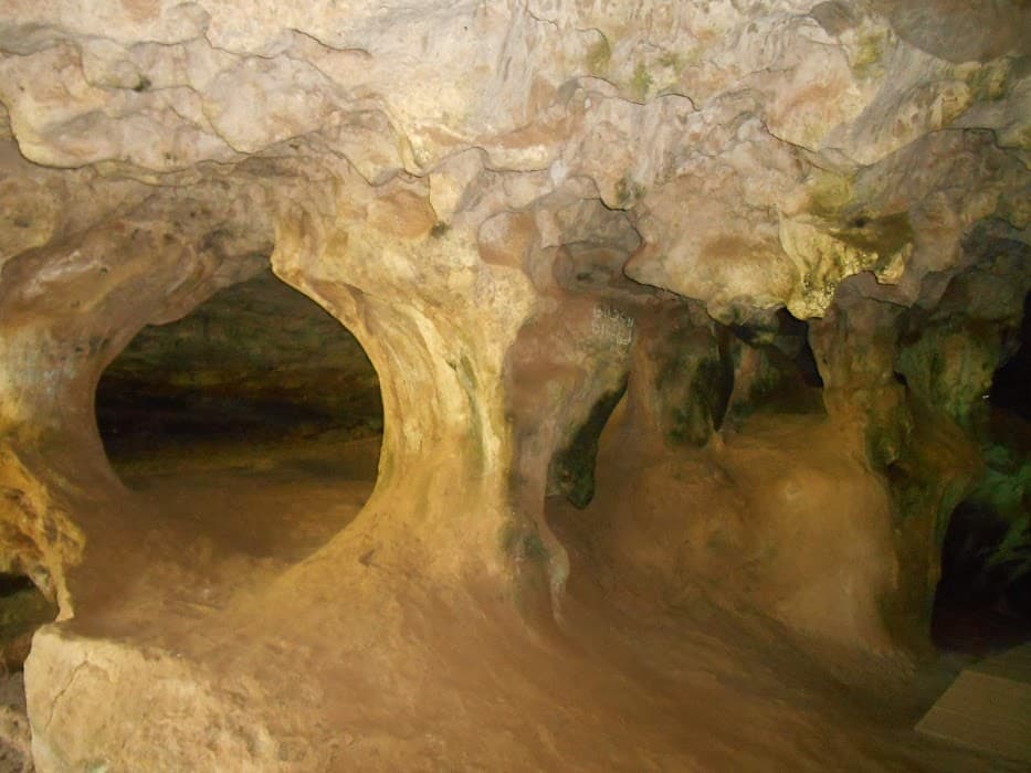 Parque Estadual de Mata das Flores