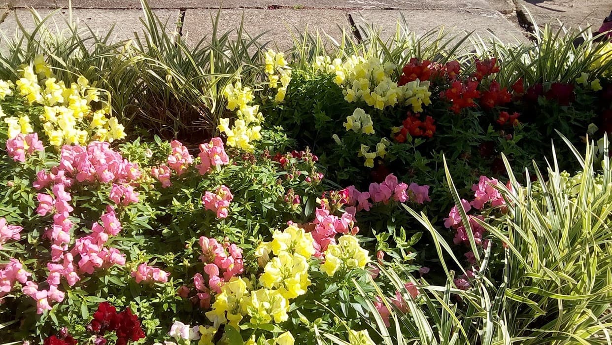 Praça João Neves da Fontoura