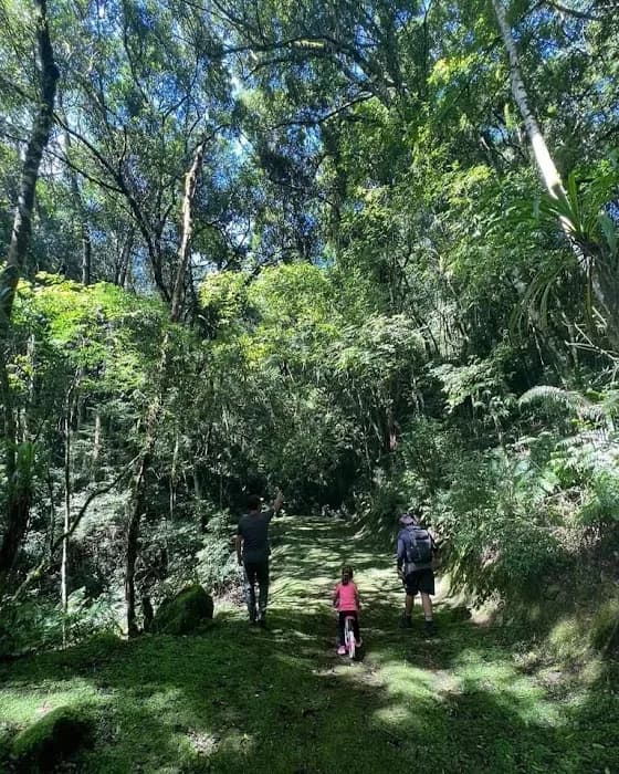Parque Estadual de Campinhos