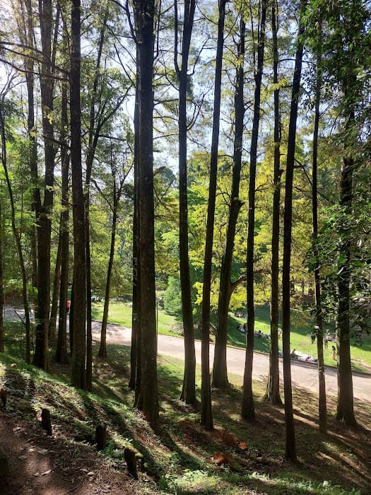 Parque Estadual Alberto Löfgren