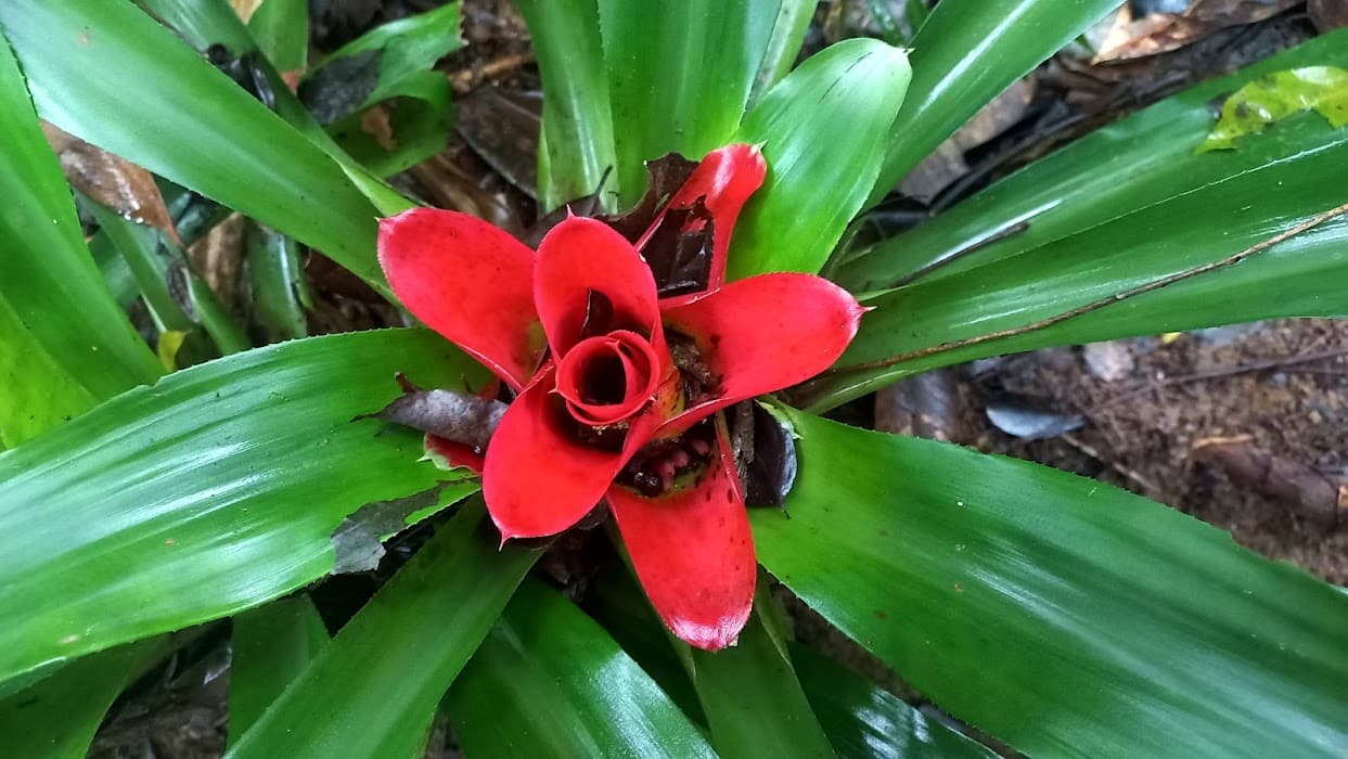 Descubra o Parque Jaceguava e viva trilhas, contato com a natureza e momentos de paz