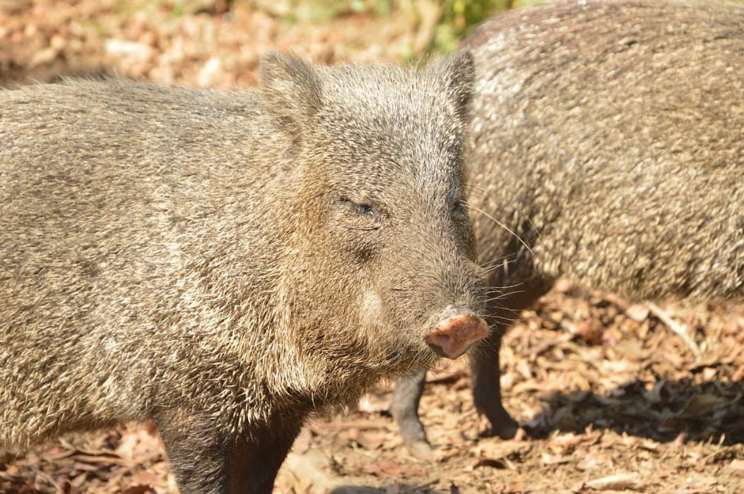 Parque Natural Estoril