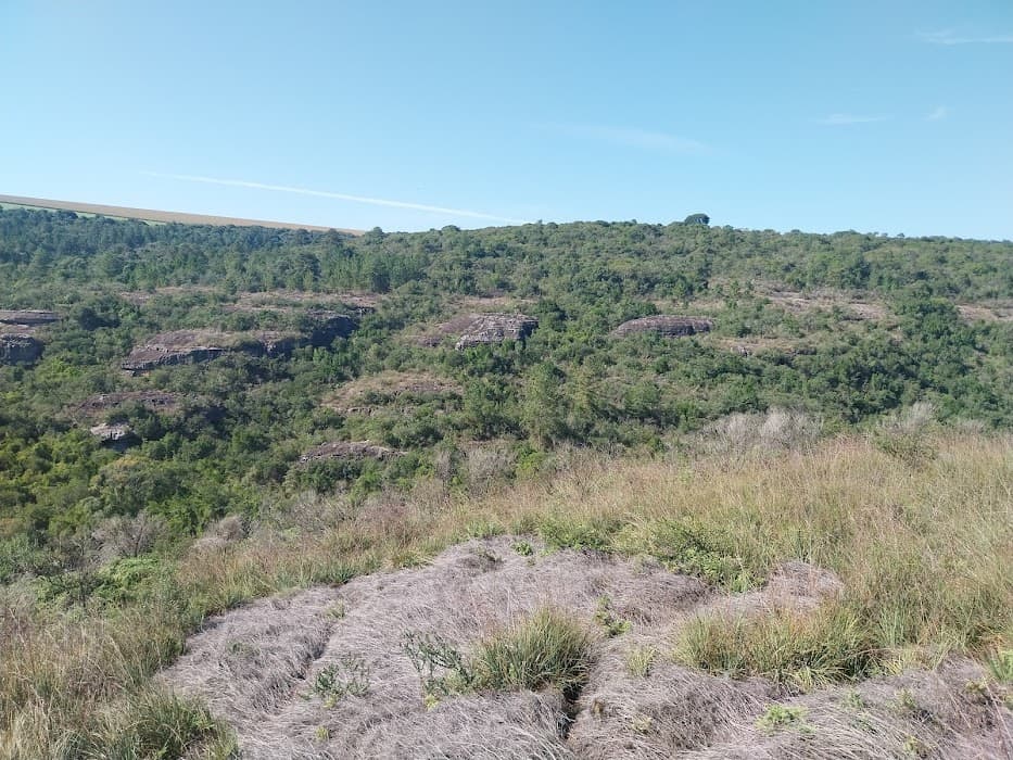 Parque Estadual do Cerrado