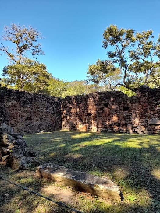 Descubra a Floresta Nacional de Ritápolis e viva experiências na natureza e história