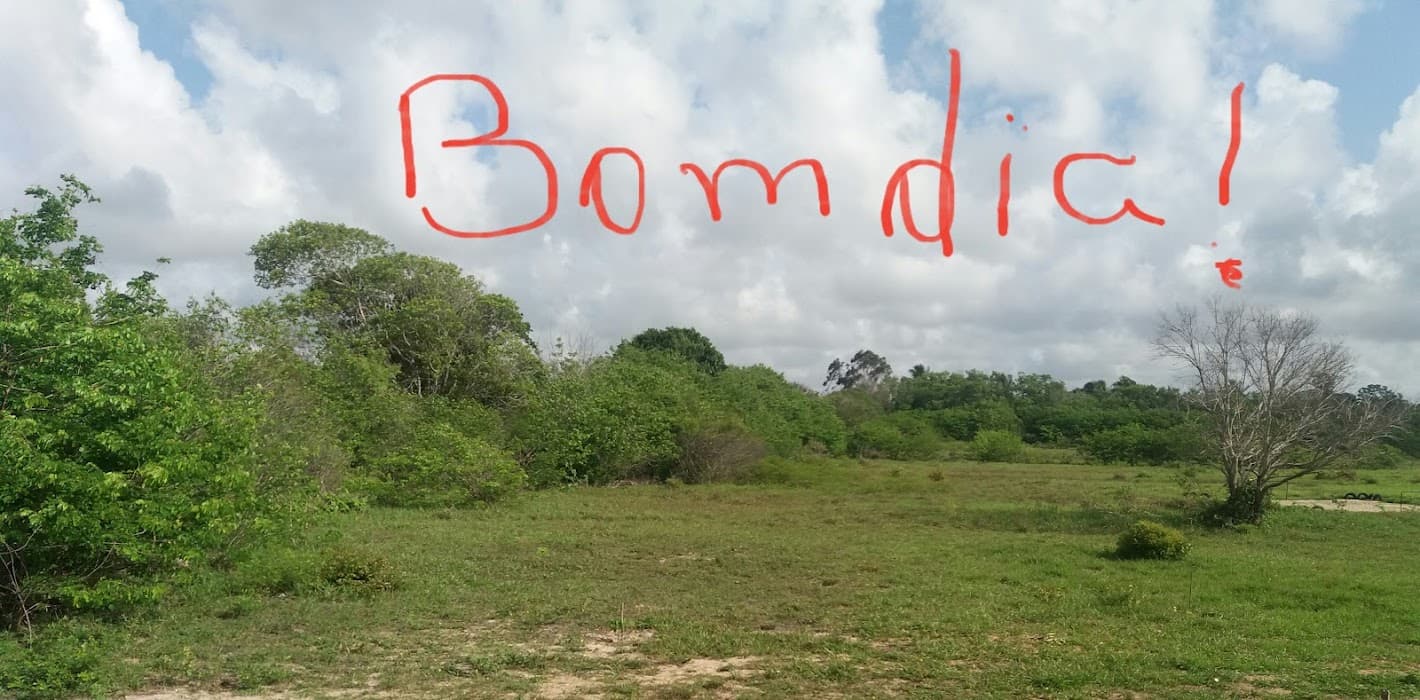 Conheça a APA Bonfim/Guaraíra e viva experiências de natureza e aventura