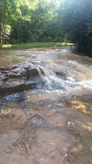 Parque Estadual de Porto Ferreira