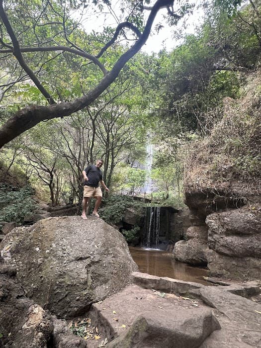 Área de Proteção Ambiental da Bica do Ipú