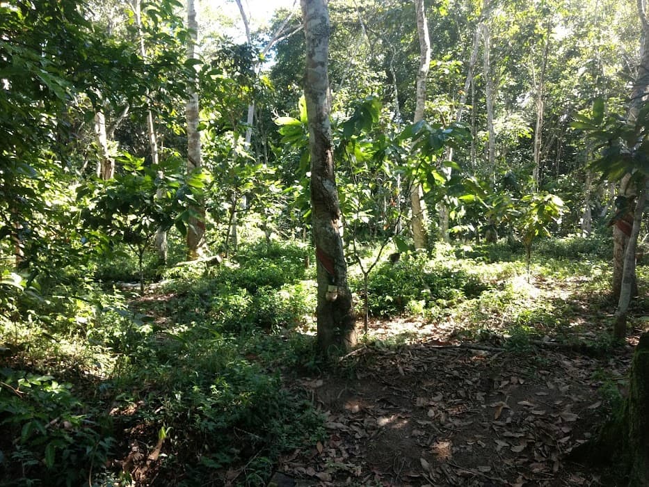 Reserva Biológica de Una