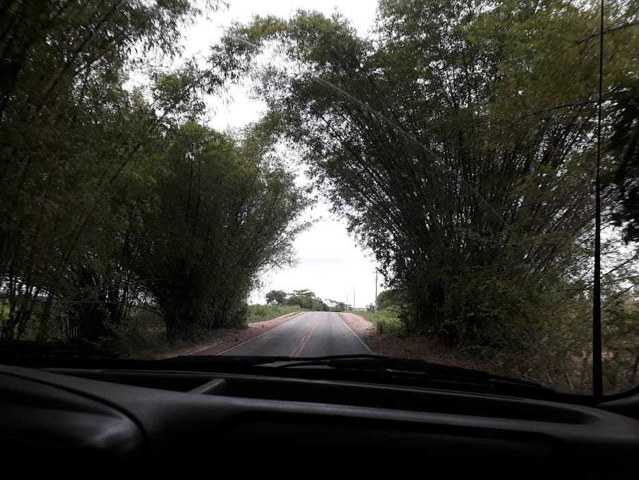 Descubra a APA Piquiri-Una e viva experiências de natureza, educação e preservação