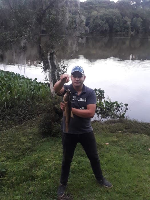 Parque Nacional das Araucárias