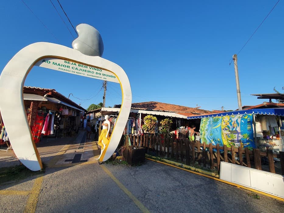 Cajueiro da Praia de Pirangi