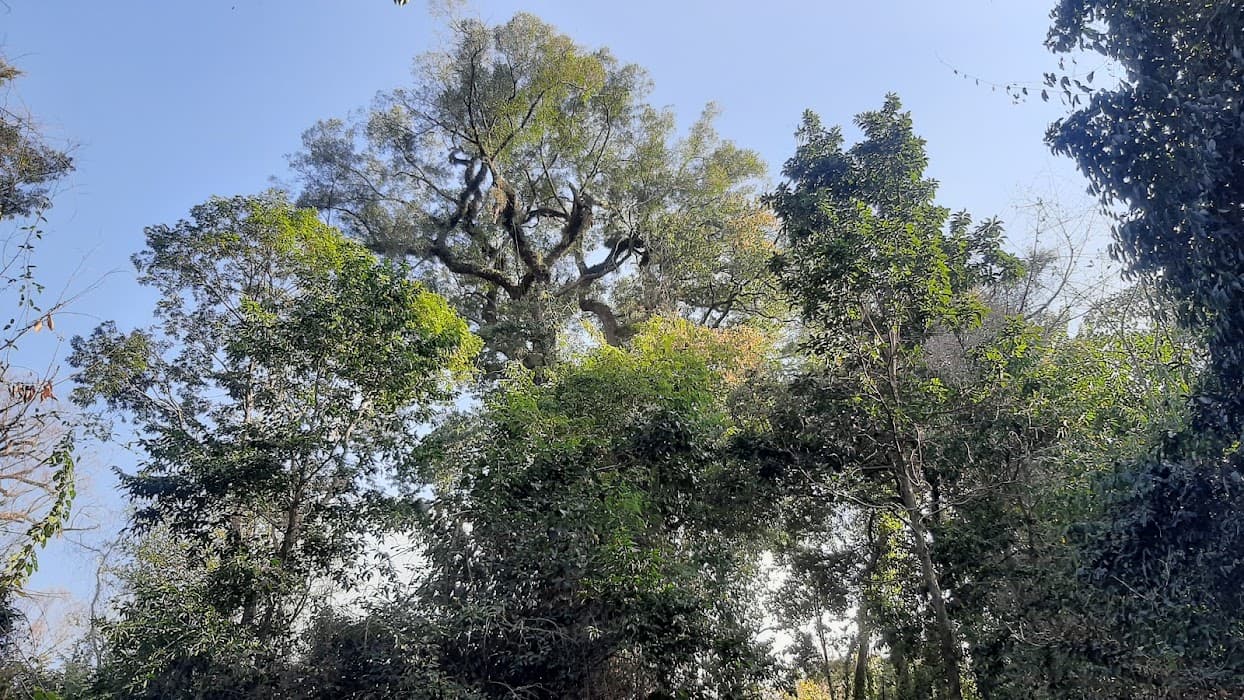 Parque Estadual Águas da Prata