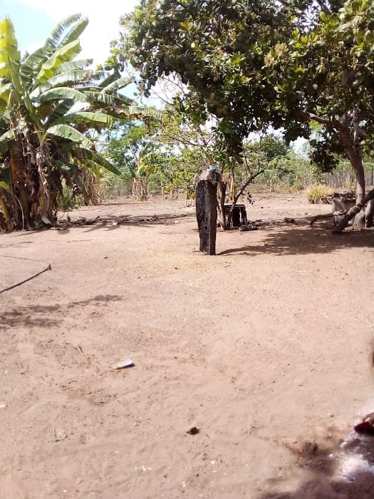 Descubra a beleza do Parque Estadual de Mirador e explore trilhas e nascentes deslumbrantes