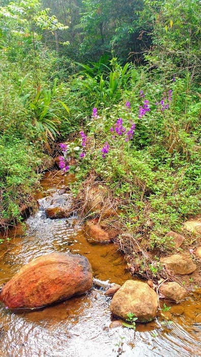 Parque Nacional da Serra das Lontras