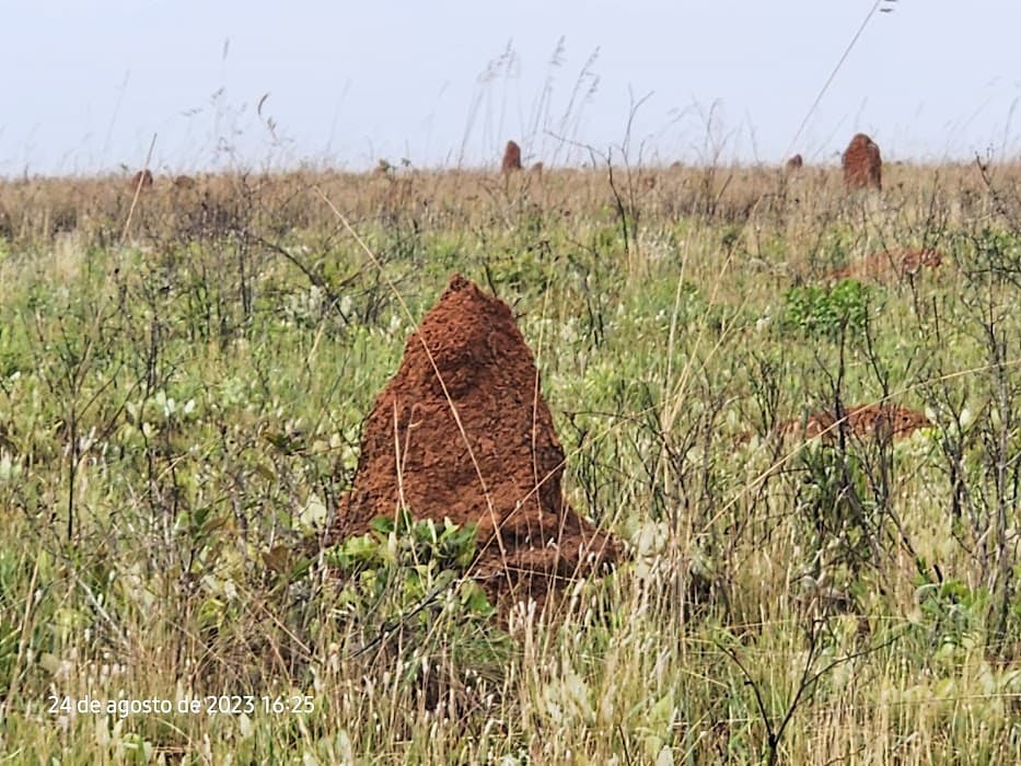 Parque Nacional das Emas