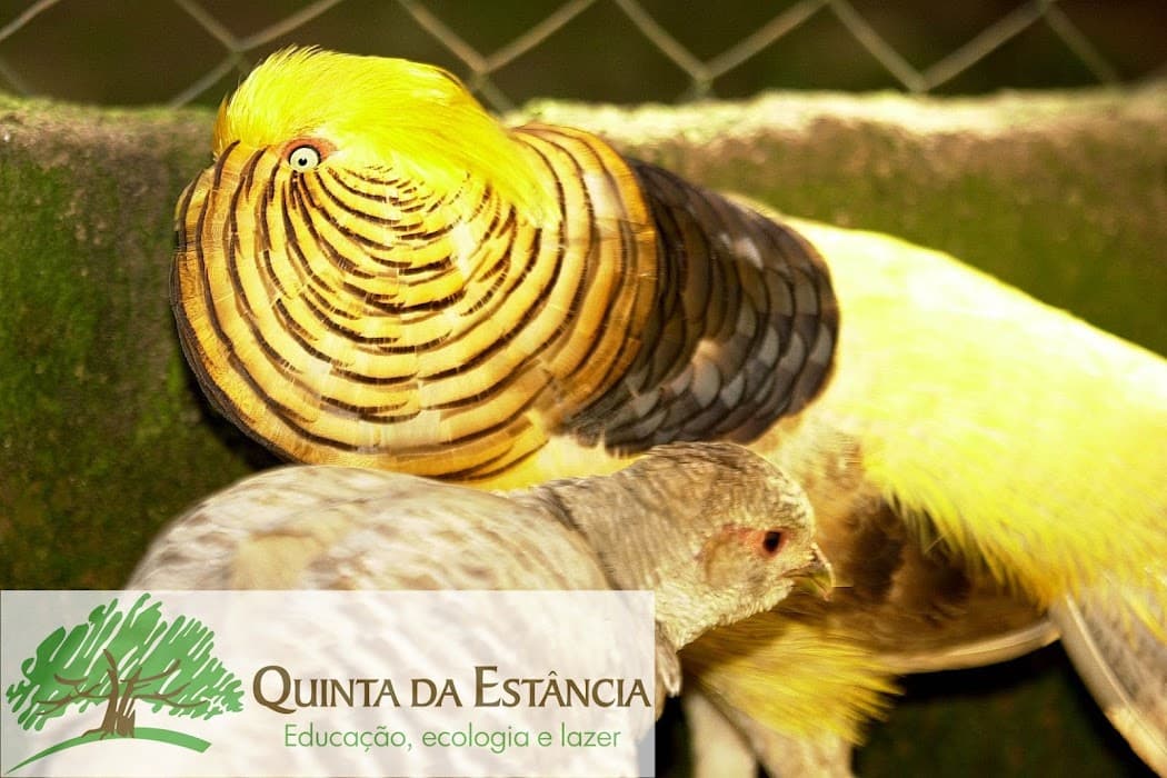 Parque Estadual de Itapuã