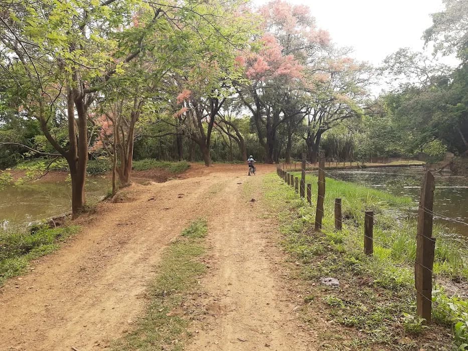 Descubra a beleza do Parque Estadual do Sumidouro e aproveite trilhas e passeios pela natureza